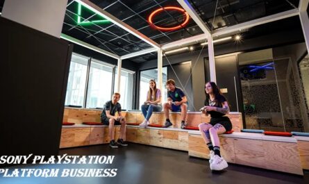 sony playstation platform business