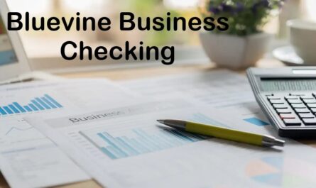 Bluevine Business Checking
