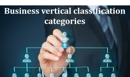 business vertical classification categories