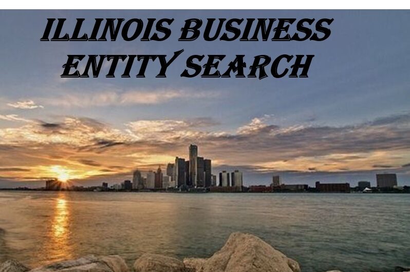 Illinois Business Entity Search Guide (LLC, Corporation & Business Lookup)