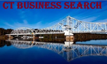 CT Business Search 